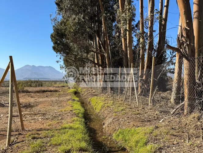VENDE PARCELA - HACIENDA BUENA ESPERANZA - VALLENAR