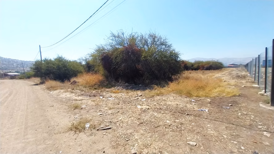Parcela en Condominio en Batuco - Tranquilidad - Seguridad