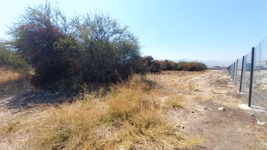 Parcela en Condominio en Batuco - Tranquilidad - Seguridad