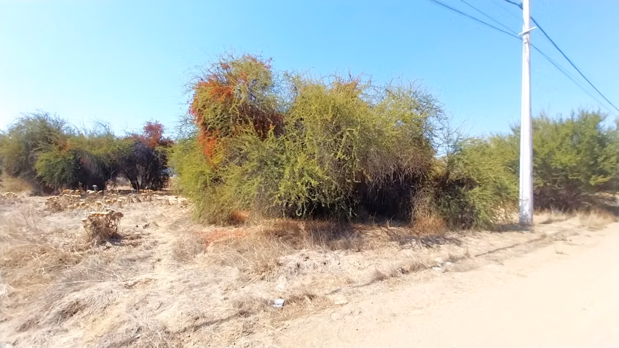 Parcela en Condominio en Batuco - Tranquilidad - Seguridad