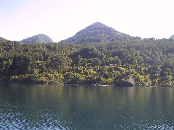 Parcela con vista privilegiada al Lago Riñihue - Imagen 5