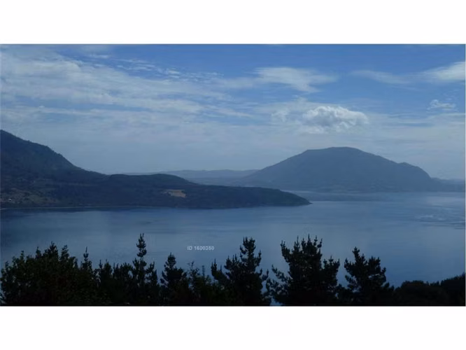 Parcela con vista privilegiada al Lago Riñihue - Imagen 9