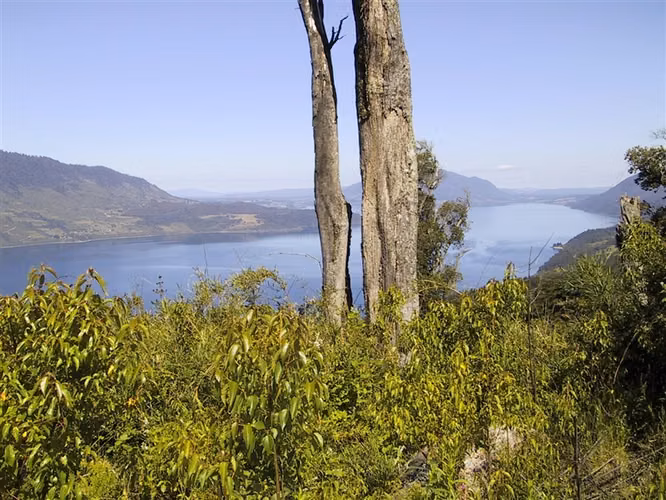 Parcela con vista privilegiada al Lago Riñihue
