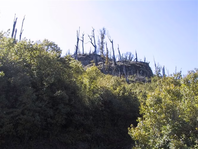 Parcela con vista privilegiada al Lago Riñihue - Imagen 8
