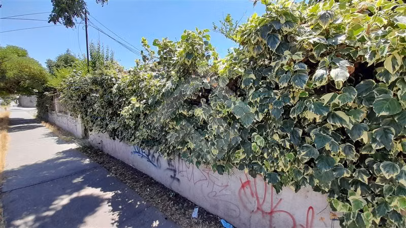 Sitio en venta en Puente Alto, APP