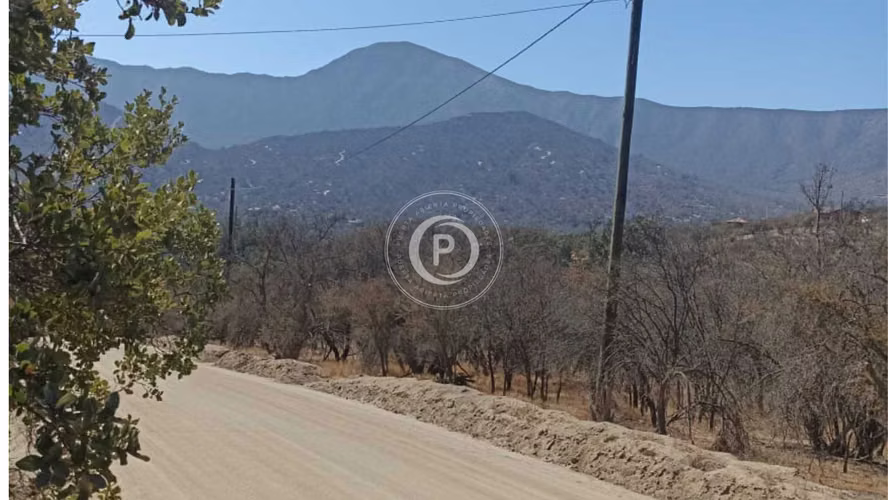 Venta Parcela Oasis La Campana Hijuelas (157372)