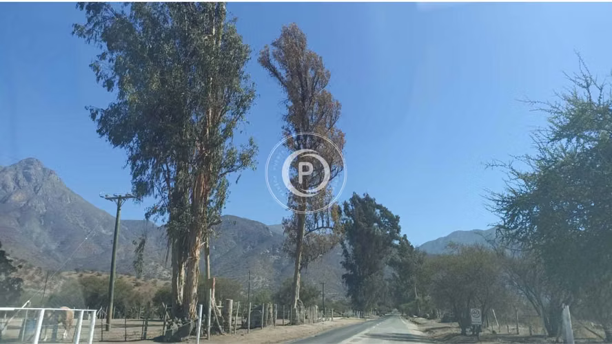 Venta Parcela Oasis La Campana Hijuelas (157372)