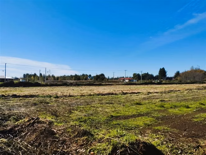 Parcela en venta en Coihueco, Chillan, Fundo las cabras - Imagen 11