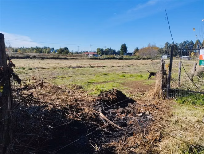 Parcela en venta en Coihueco, Chillan, Fundo las cabras