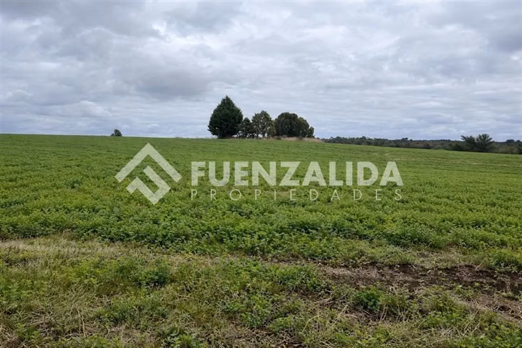 Parcela en venta en Condominio Laderas del Rupanco Osorno