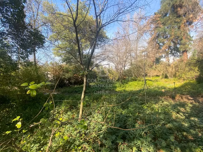 Lo Curro, sitio precioso entorno, oportunidad inmobiliaria.