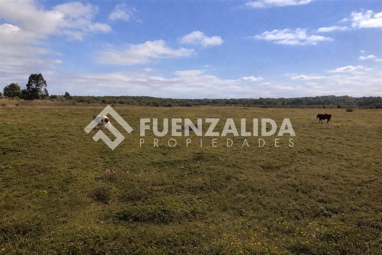 Parcela en venta en Valle Las Lumas de Calbuco