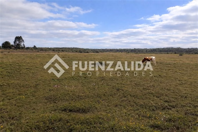 Parcela en venta en Valle Las Lumas de Calbuco