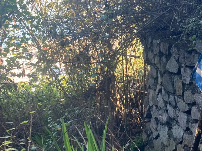 EXCELENTE SITIO EN ANÍBAL PINTO, TALCAHUANO - Imagen 8