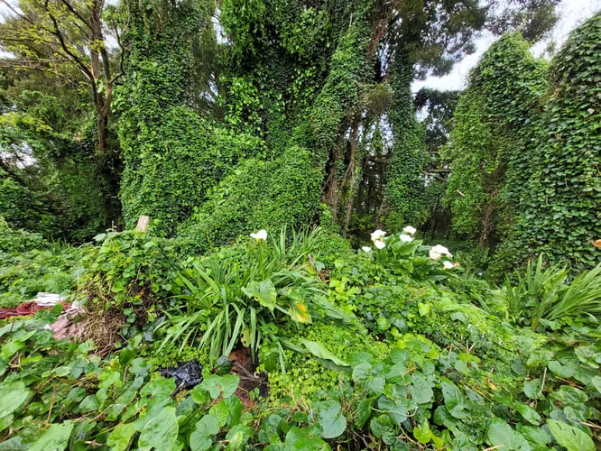 EXCELENTE SITIO EN ANÍBAL PINTO, TALCAHUANO