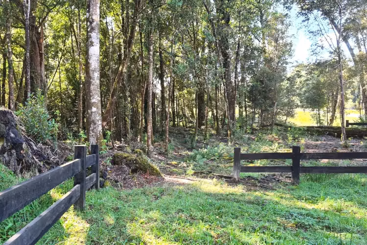 Parcela con bosque a minutos de Puerto Varas! (157576)