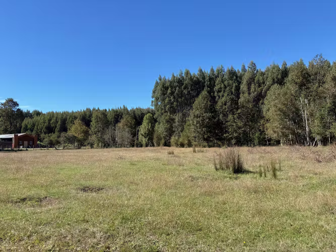 Parcela de 1.13 Hectáreas sector Cau-Cau, Fresia. - Imagen 12