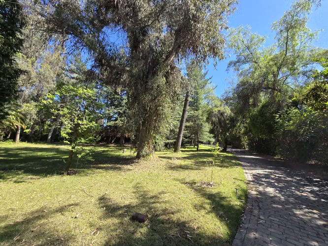 LA REINA ALTA: TERRENO 11.080 m2, CASA 800 m2. (SPM 800 m2) IDEAL INMOBILIARIA
