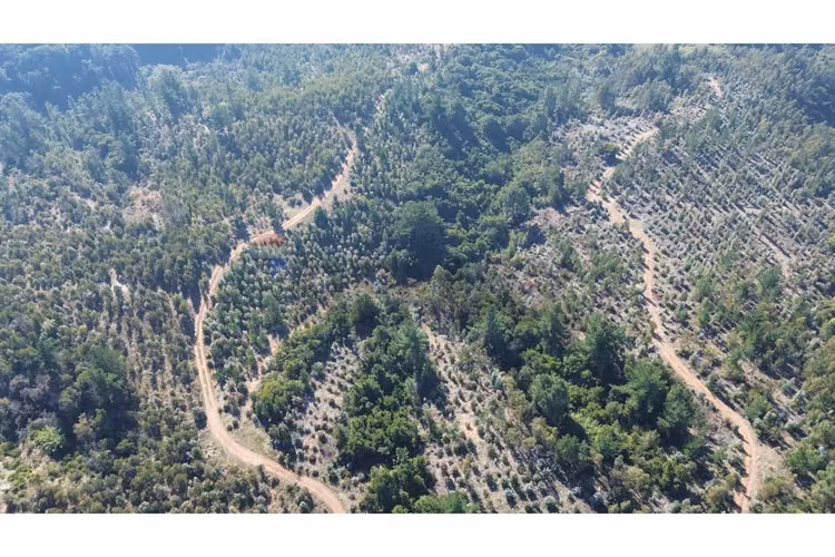 106 hectáreas florida ubicación estratégica
