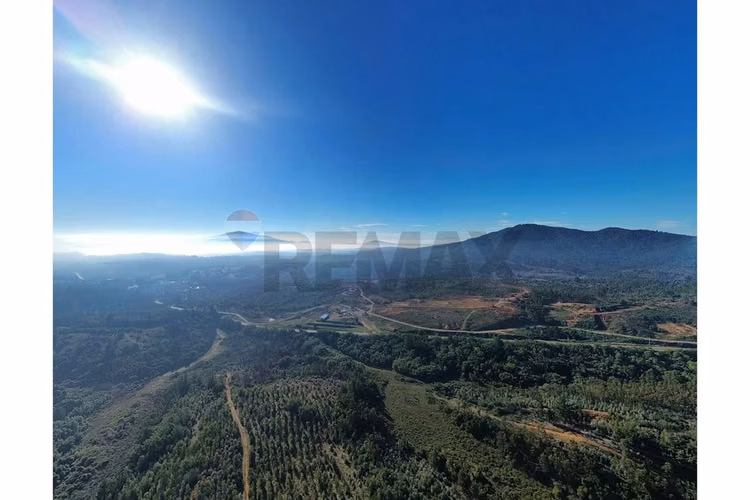 106 hectáreas florida ubicación estratégica