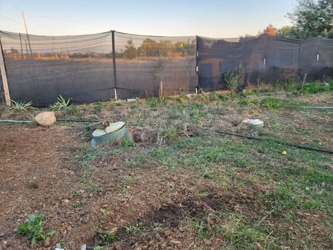 Hermosa Parcela en Venta en Sector Mariposas comuna de San Clemente! - Imagen 24