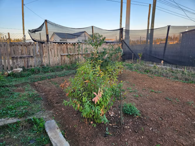 Hermosa Parcela en Venta en Sector Mariposas comuna de San Clemente! - Imagen 26