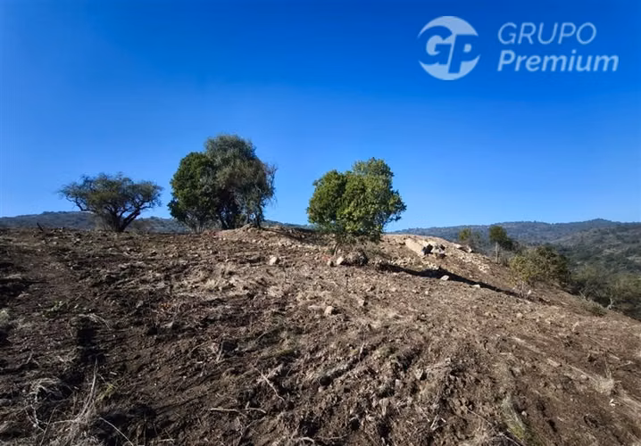 Parcela en Venta en Curicó