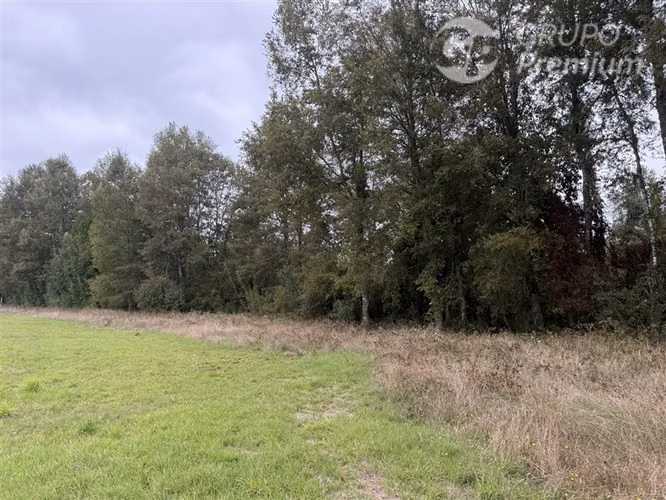 Venta-Parcela-Villarrica-7260Mts2