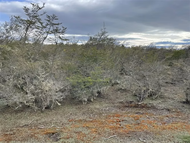 Parcela en venta en Punta Arenas