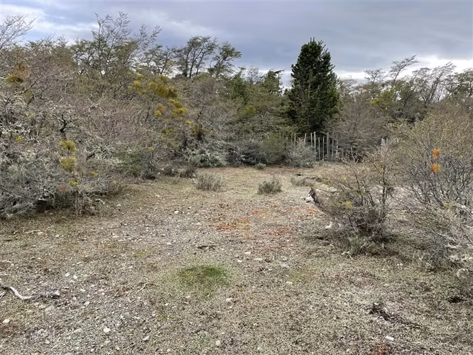 Parcela en venta en Punta Arenas