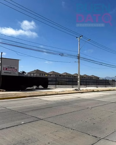 LOCAL COMERCIAL Avenida Raul Bitran esquina calle Ulmo