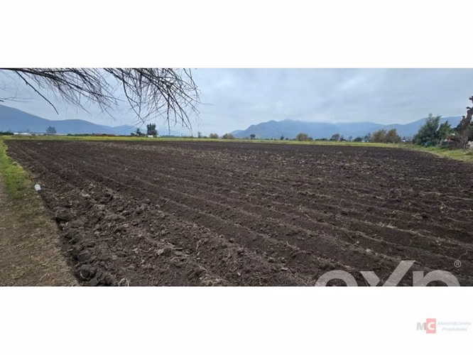Sitio en venta en Hijuelas