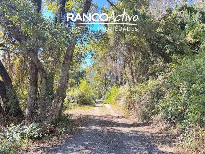 Parcela en venta camino a Santa Juana - Palco Grande - km 17