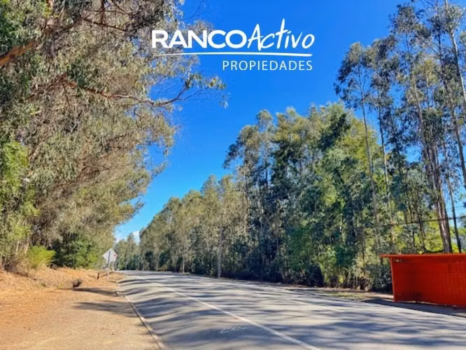 Parcela en venta camino a Santa Juana - Palco Grande - km 17
