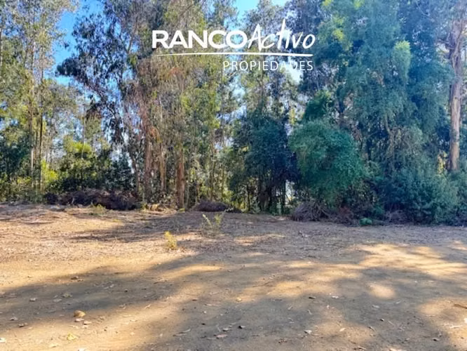 Parcela en venta camino a Santa Juana - Palco Grande - km 17