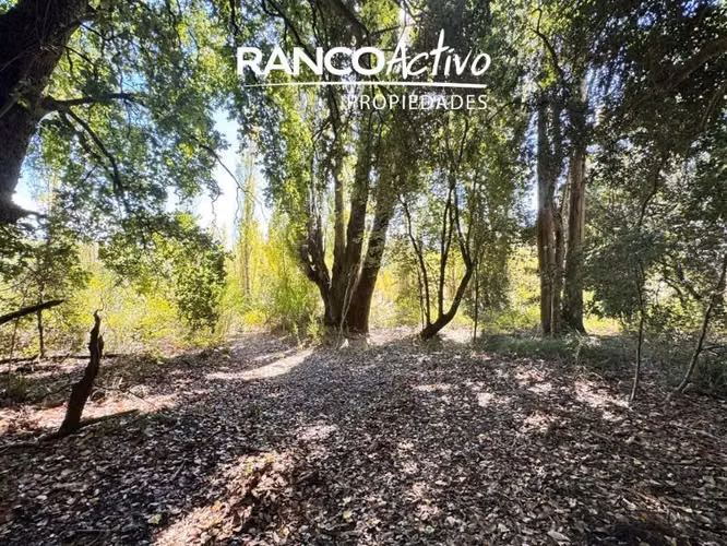 Parcela en venta camino a Santa Juana - Palco Grande - km 17