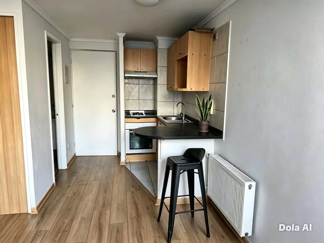 Arriendo Studio 29mt Metro Bellas Artes (158074)