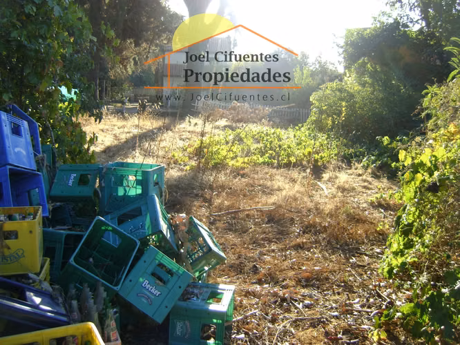 Propiedad con local comercial y departamento en 2do. Cod-2416