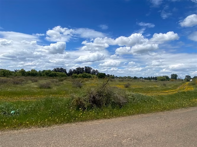 Terreno para desarrollo inmobiliario en venta en Bulnes