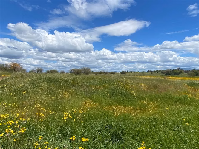 Terreno para desarrollo inmobiliario en venta en Bulnes
