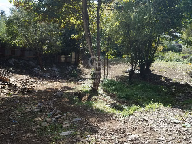 Oportunidad Inmobiliaria en Sector Estratégico de Osorno