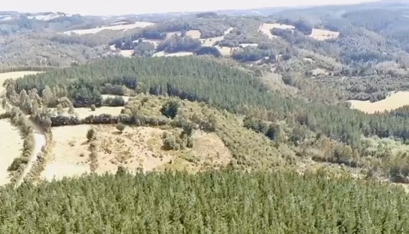 Agrícola TROVOLHUE