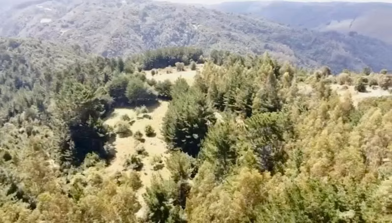 Agrícola TROVOLHUE