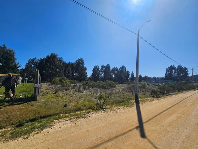 VENTA PARCELA 5000M2 STA MARIA DE ALGARROBO