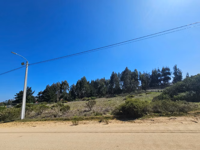 VENTA PARCELA 5000M2 STA MARIA DE ALGARROBO