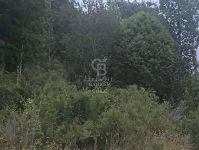 ¡Descubre tu oasis en Chiloé!  Aguas Buenas, Ancud.