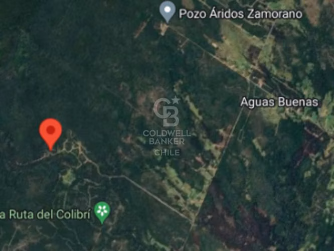 ¡Descubre tu oasis en Chiloé!  Aguas Buenas, Ancud.