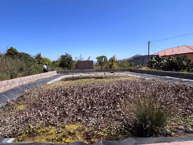 Terreno Ideal para Proyectos de Inversión (158348)
