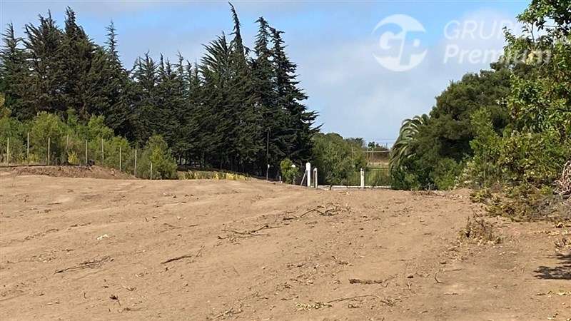 Parcela en venta en Quintero - Imagen 10
