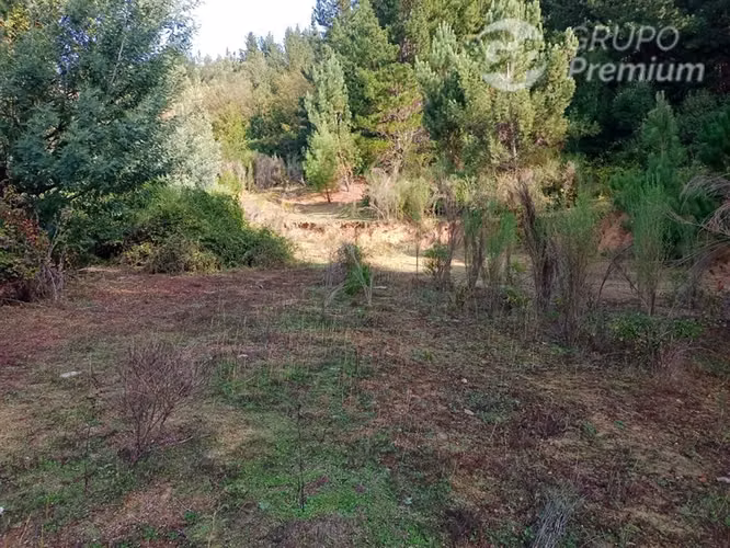 Sitio en venta en Quirihue